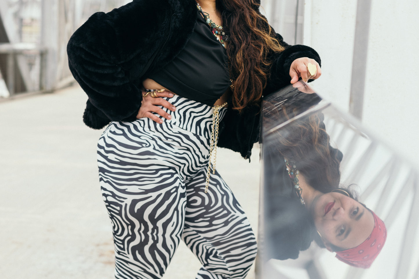MAYA ZEBRA