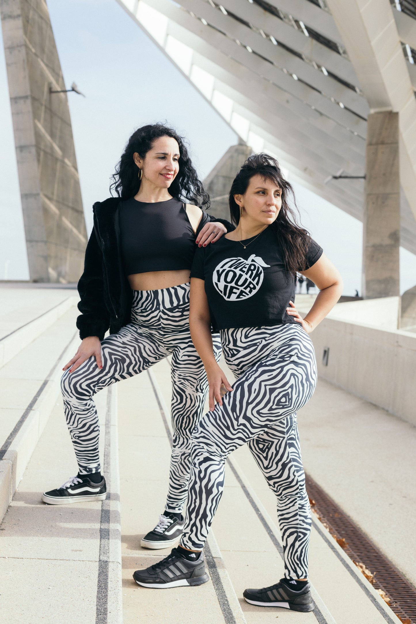MAYA ZEBRA