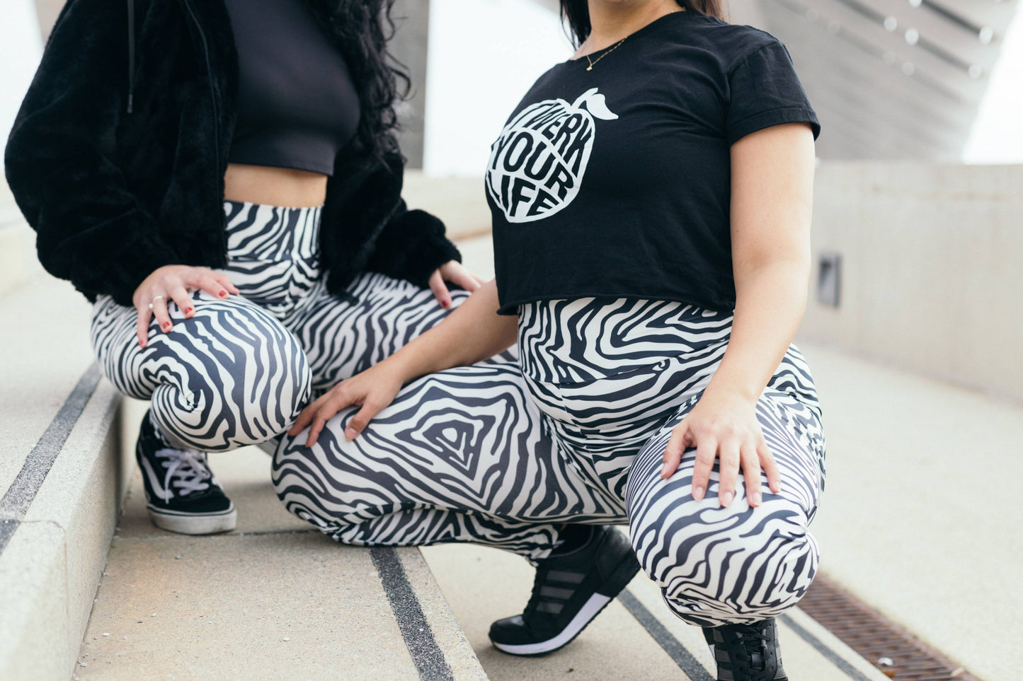 ELLY ZEBRA