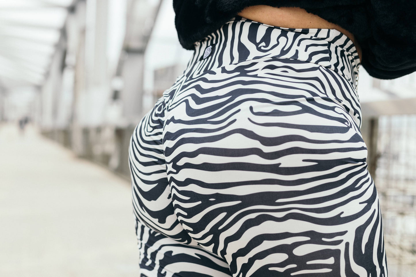 ELLY ZEBRA