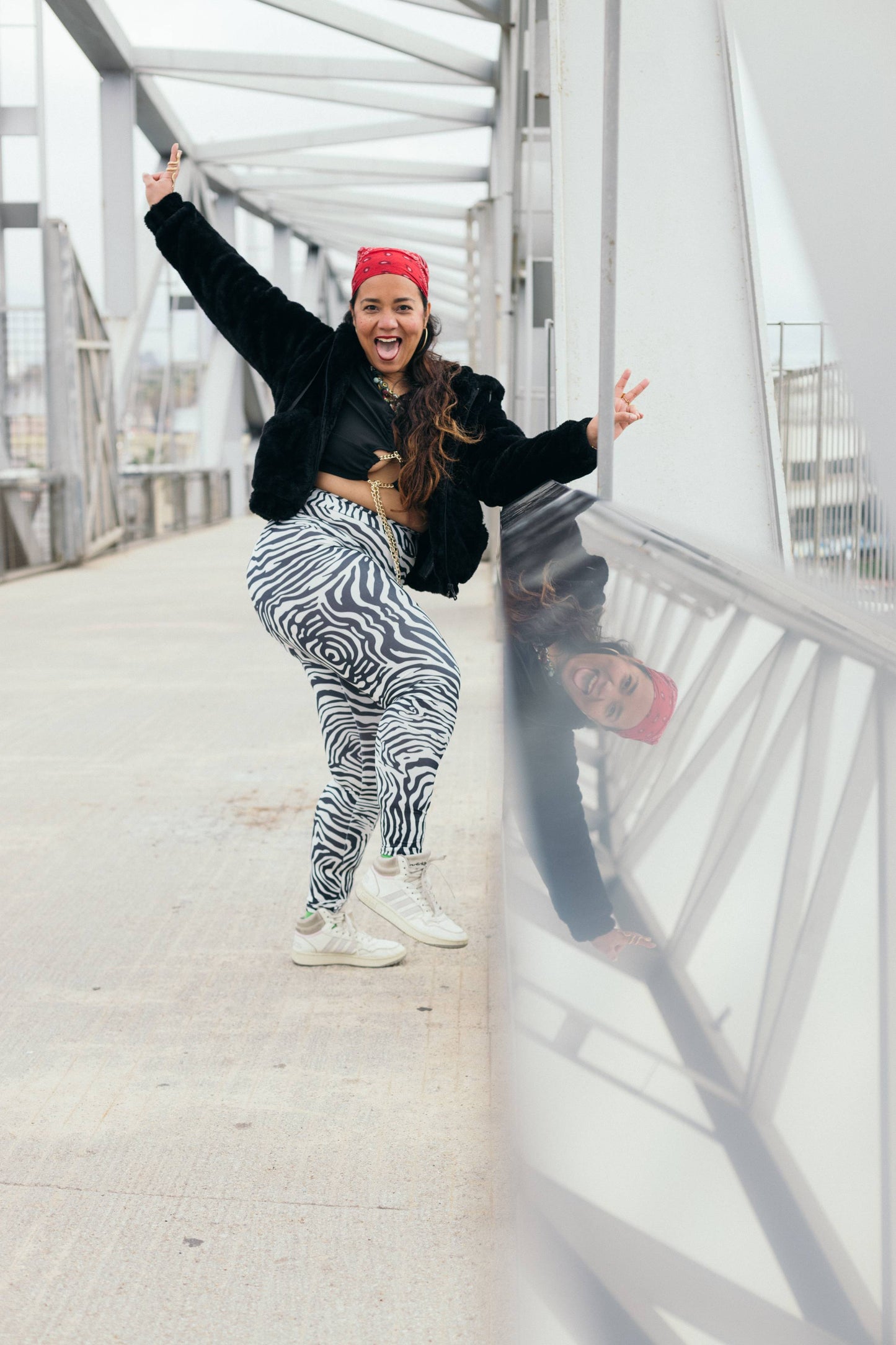 ELLY ZEBRA