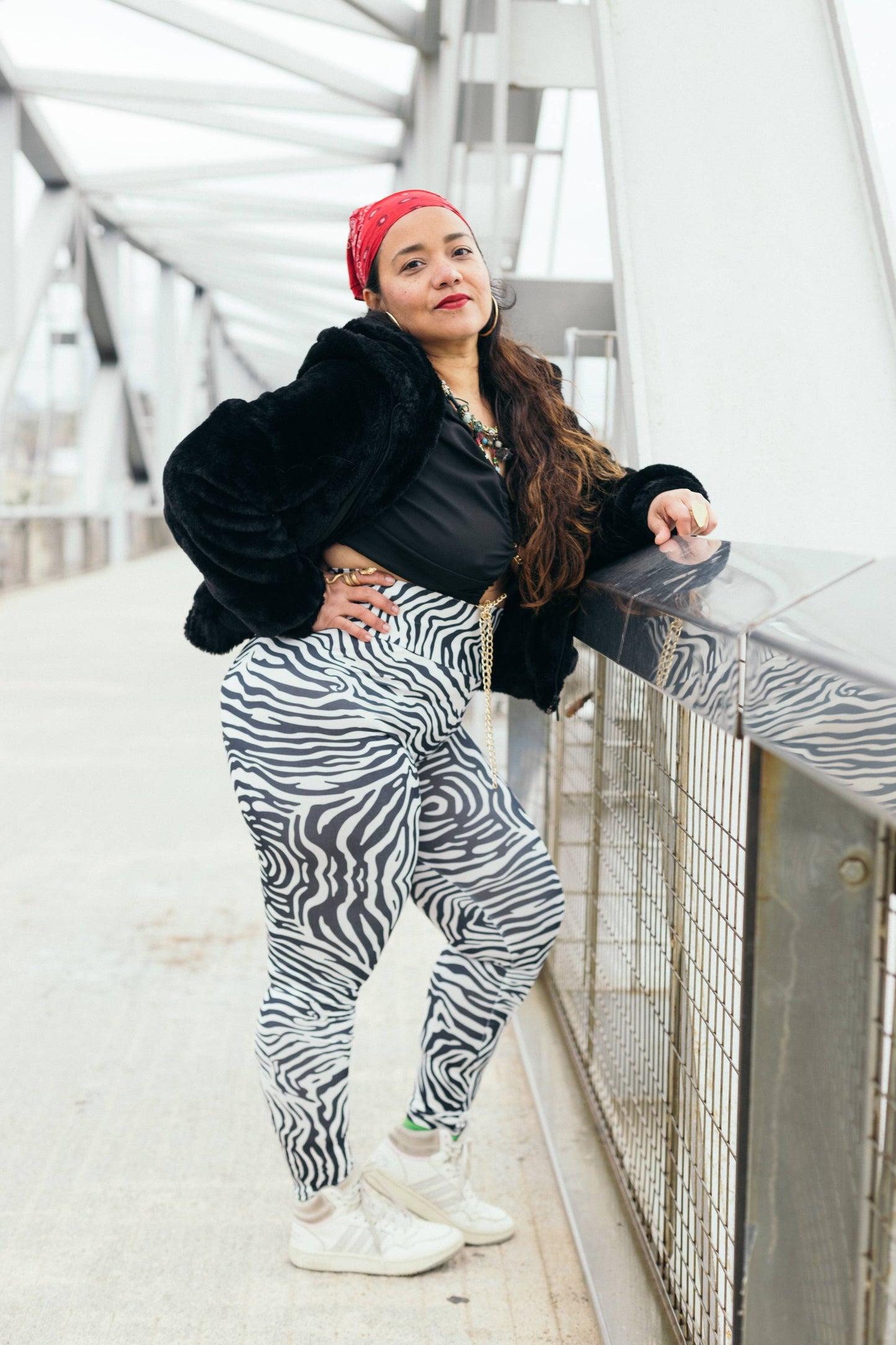 ELLY ZEBRA