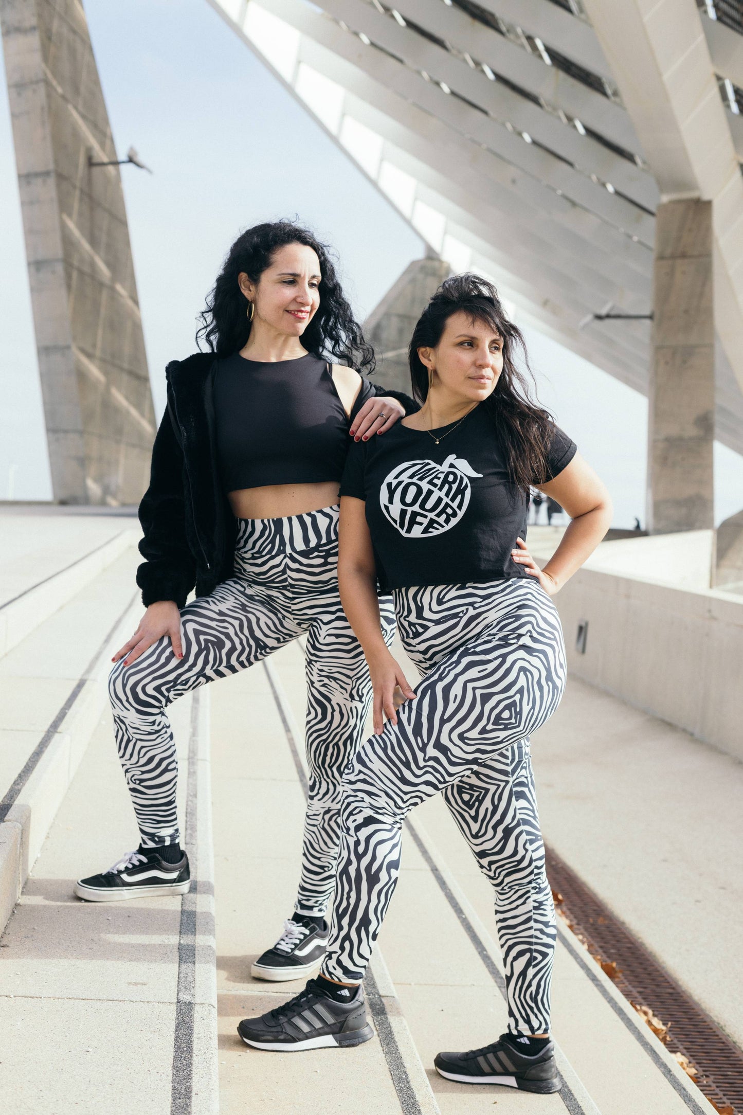 ELLY ZEBRA